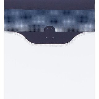 Windschutzscheibe GR�N BLAUKEIL SPIEGELFLECK SICHTFENSTER