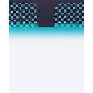 Windschutzscheibe GR�N GR�NKEIL SPIEGELFLECK SICHTFENSTER